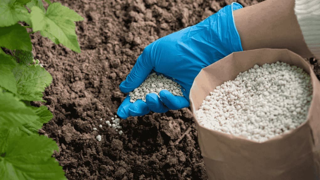 Fertilizers, Crop Nutrition & Protection