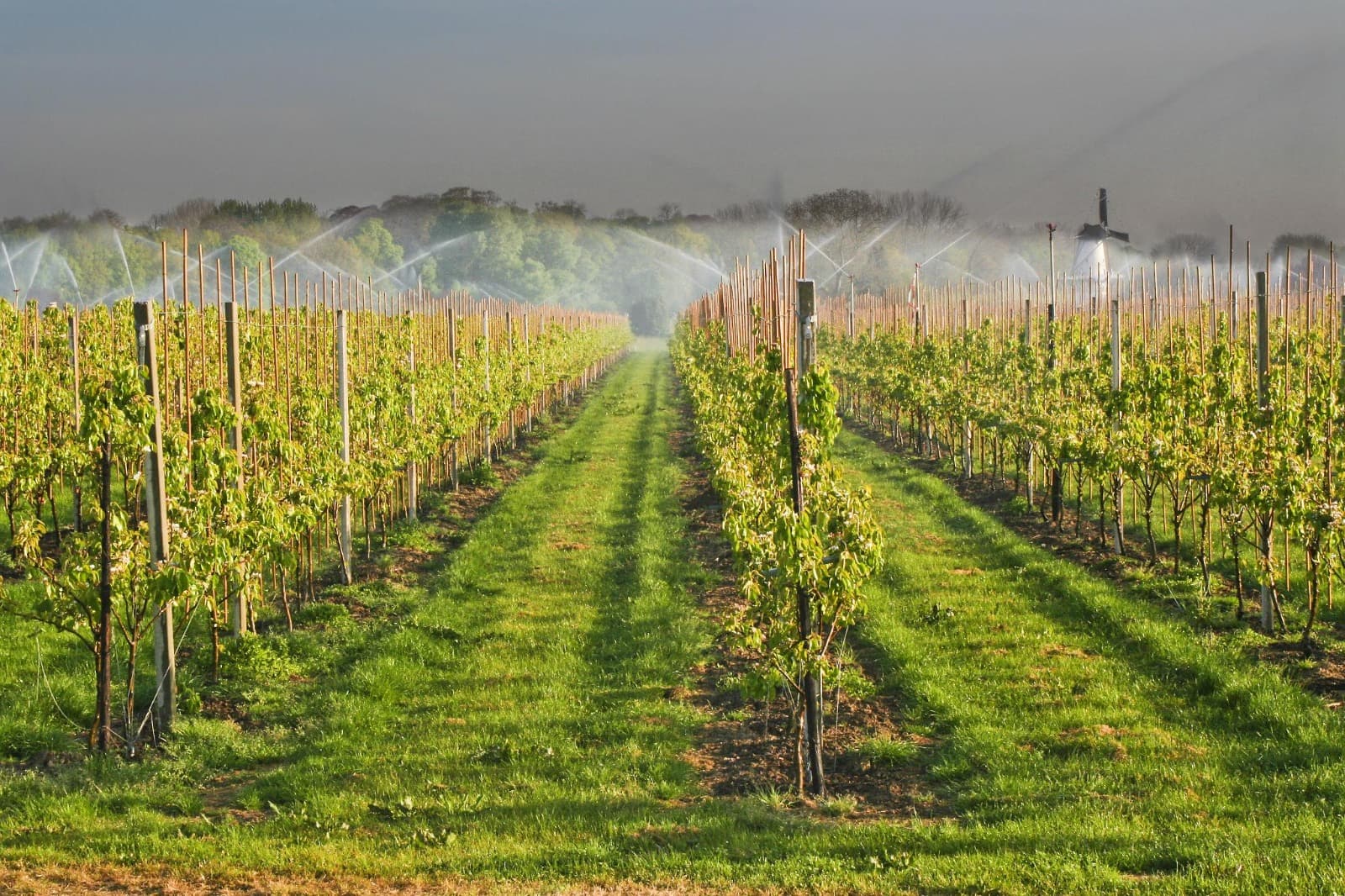 Irrigation & Water Management